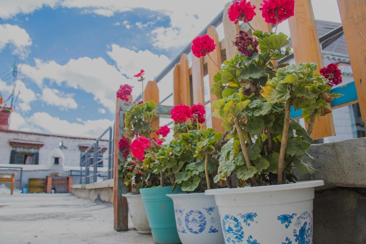 Fengma Feiyang Hostel Lhasa Dış mekan fotoğraf